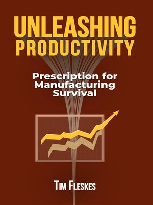 cover image of UNLEASHING PRODUCTIVITY